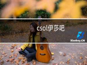 csol伊莎吧