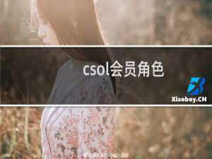 csol会员角色