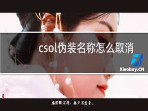 csol伪装名称怎么取消