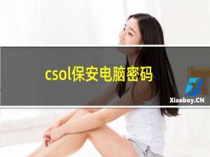 csol保安电脑密码