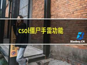 csol僵尸手雷功能