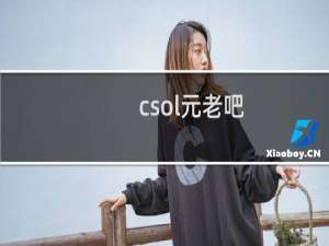 csol元老吧