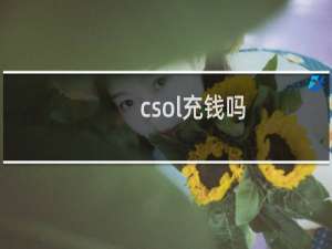 csol充钱吗