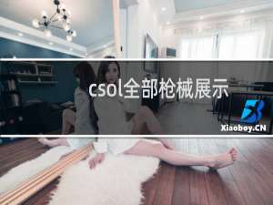 csol全部枪械展示