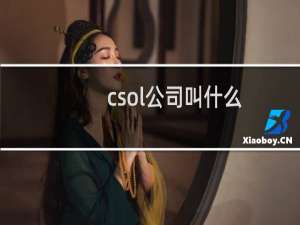 csol公司叫什么