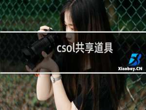 csol共享道具