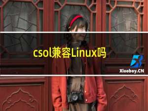 csol兼容Linux吗