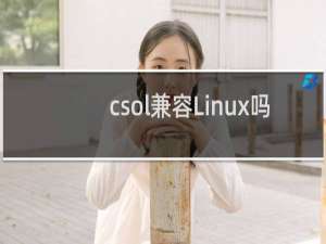 csol兼容Linux吗