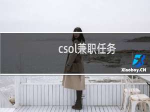 csol兼职任务