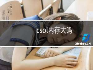 csol内存大吗