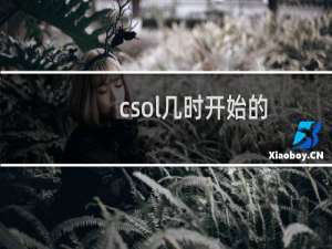 csol几时开始的