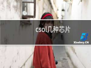 csol几种芯片