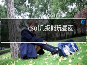 csol几级能玩昼夜