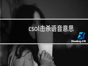 csol击杀语音意思