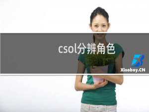 csol分辨角色