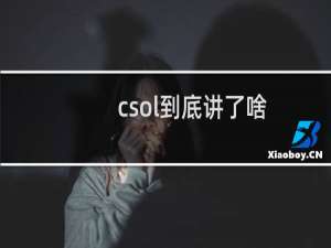 csol到底讲了啥