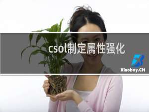 csol制定属性强化