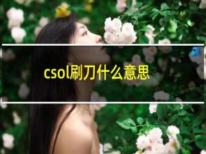 csol刷刀什么意思