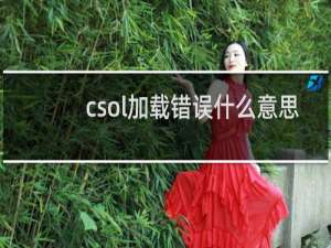csol加载错误什么意思