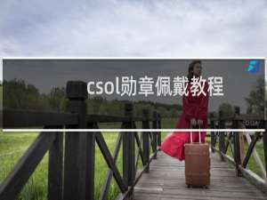 csol勋章佩戴教程