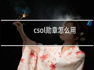 csol勋章怎么用