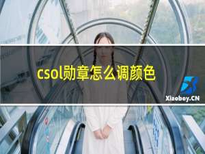 csol勋章怎么调颜色