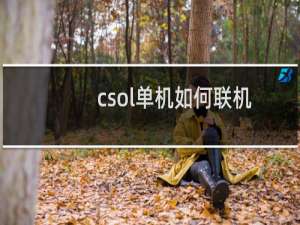 csol单机如何联机