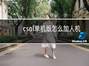 csol单机版怎么加人机
