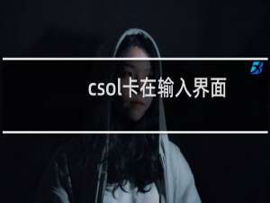 csol卡在输入界面