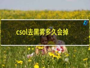 csol去黑雾多久会掉