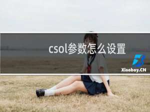 csol参数怎么设置