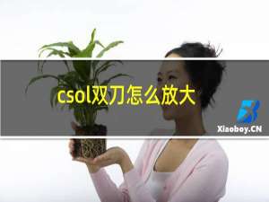 csol双刀怎么放大