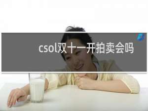 csol双十一开拍卖会吗