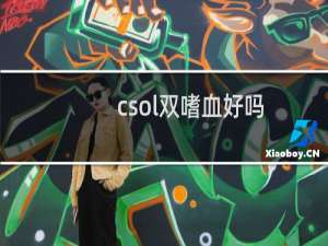 csol双嗜血好吗