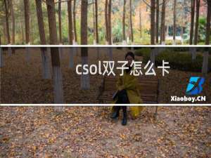csol双子怎么卡