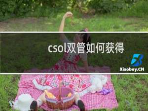 csol双管如何获得