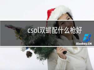 csol双蝎配什么枪好