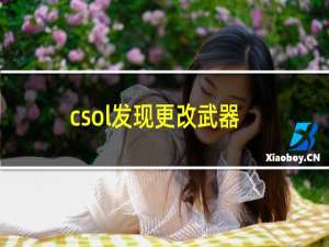 csol发现更改武器