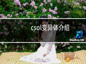 csol变异体介绍