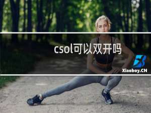 csol可以双开吗