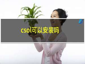 csol可以安装吗