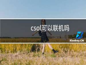 csol可以联机吗