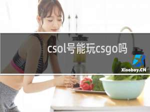 csol号能玩csgo吗