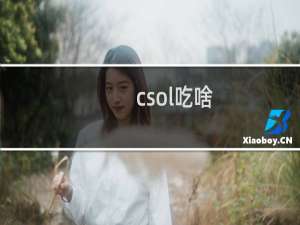 csol吃啥
