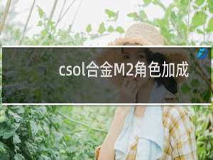 csol合金M2角色加成
