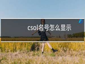 csol名号怎么显示