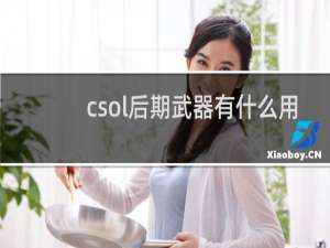 csol后期武器有什么用