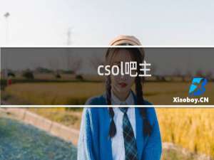 csol吧主