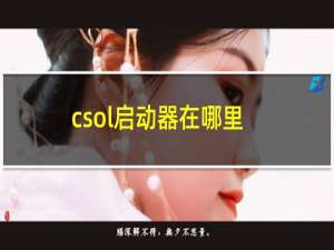 csol启动器在哪里