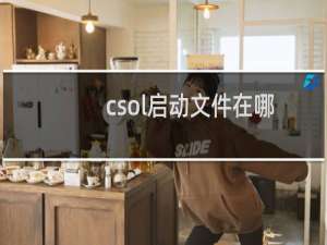 csol启动文件在哪